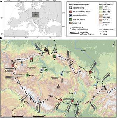 A monitoring network for the detection of invasive ambrosia and bark beetles in the Czech Republic: principles and proposed design